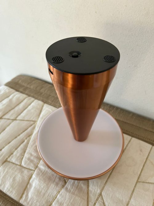 A Story With Mushroom Lamp ✨ (Rose Gold Color)